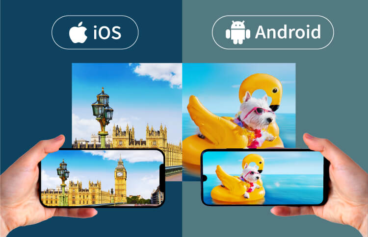 LS1 iOS/Android，雙系統手機投影。
