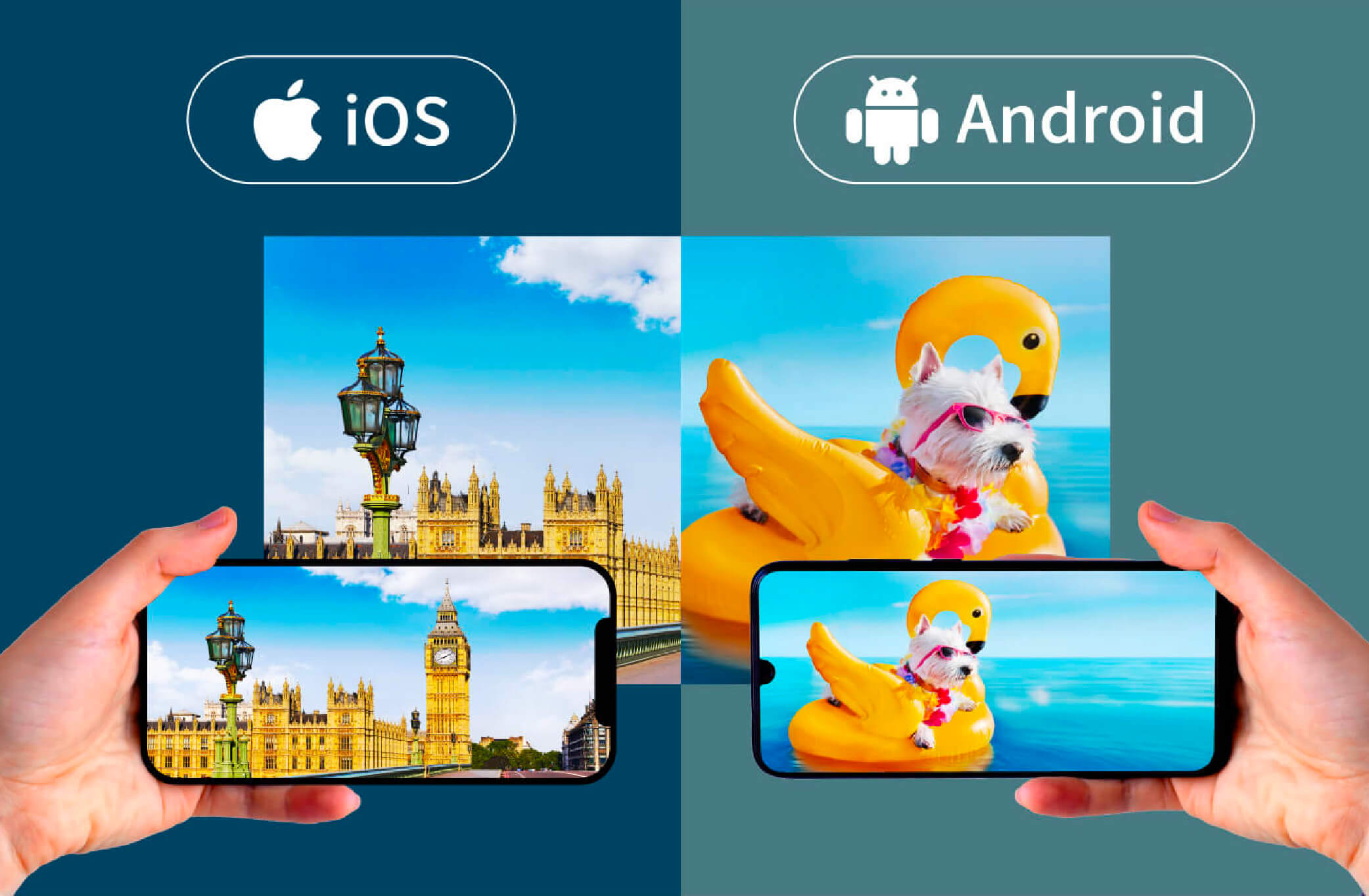iOS/Android，雙系統手機投影。